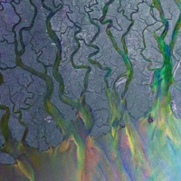 alt-J - An Awesome Wave (CD)
